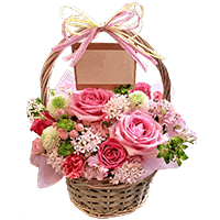 楽屋見舞いアレンジメント中かご